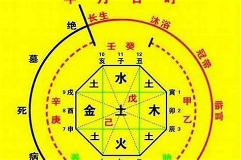 查生辰八字|生辰八字算命、五行喜用神查詢（免費測算）